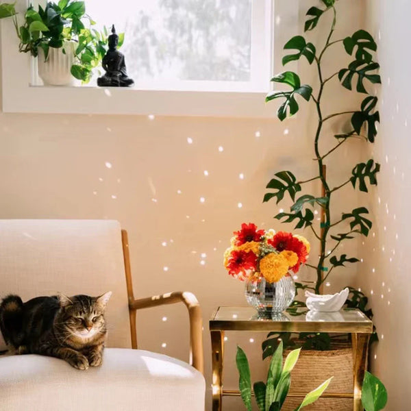 Disco Ball Hanging Planter